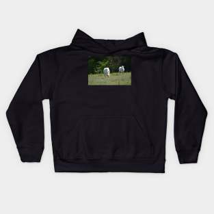 Wild Horse Kids Hoodie